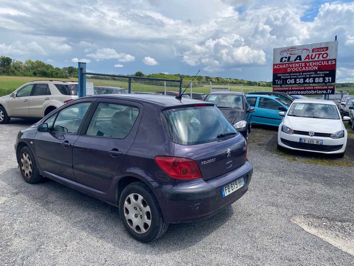 Peugeot 307 1.6i 110cv 99009km d’origine