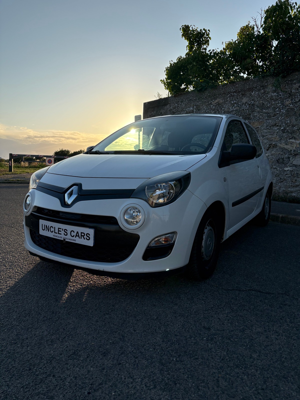 RENAULT Twingo SOCIETE AIR EURO 5 1.5 DCi 75