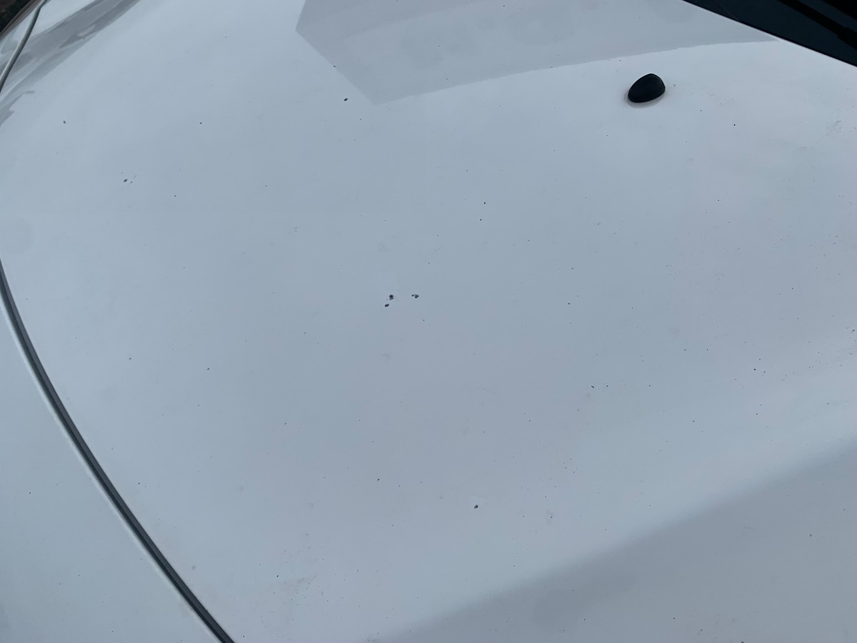 Citroën C3 68 ch | 2 Places | Régulateur de vitesse | Climatisation | Roue de secours homogène 15"