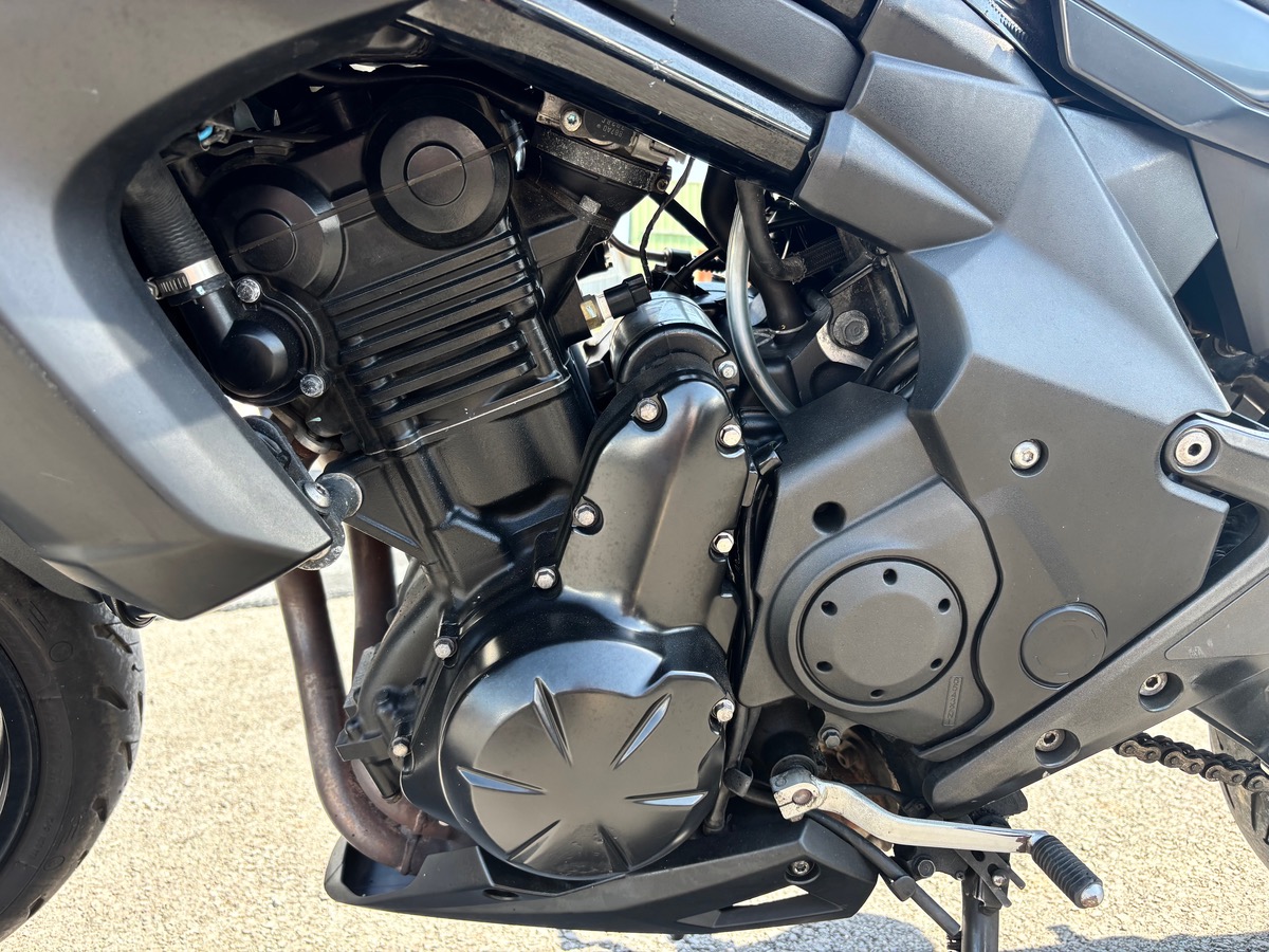 Kawasaki ER-6N MTT2