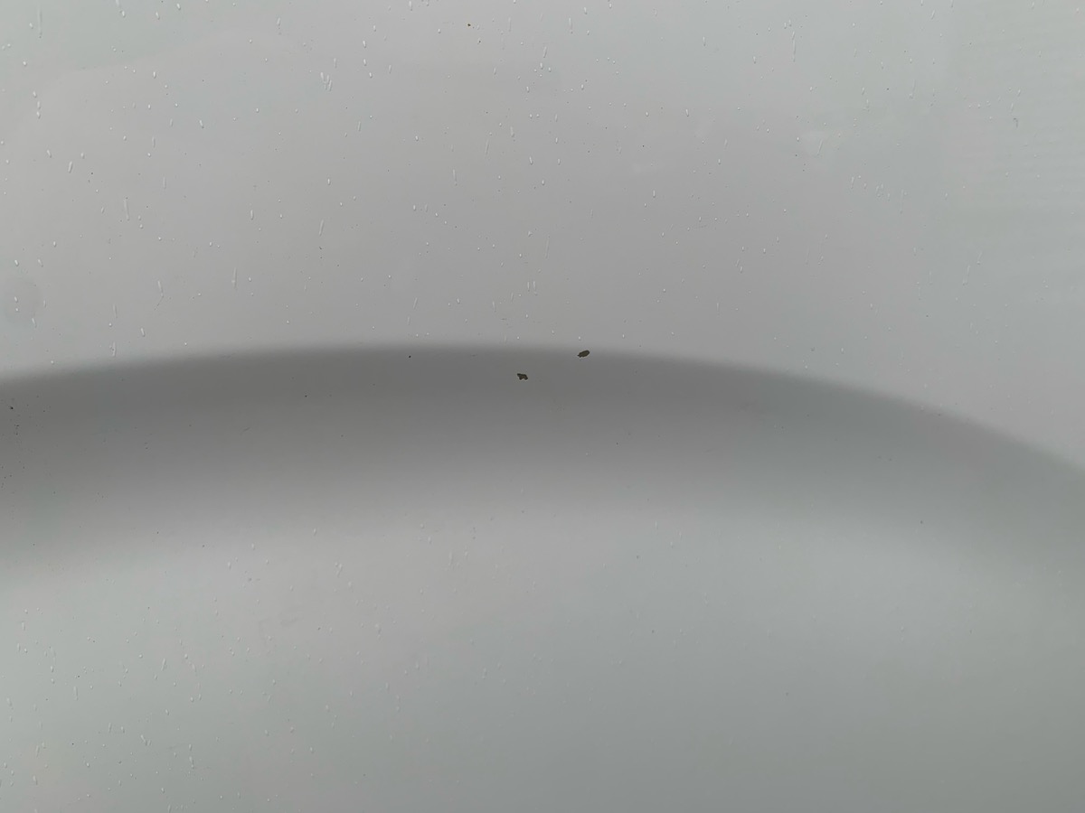 Toyota ProAce 180 ch | Business access | TVA Récupérable | 3 Places | Apple car play Android auto