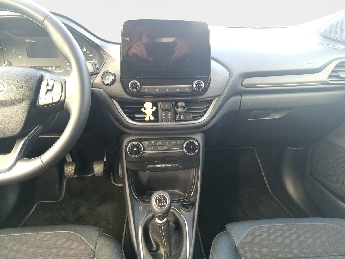 Ford Puma 1.0 FLEXIFUEL 125 CV MHEV TITANIUM BUSINESS