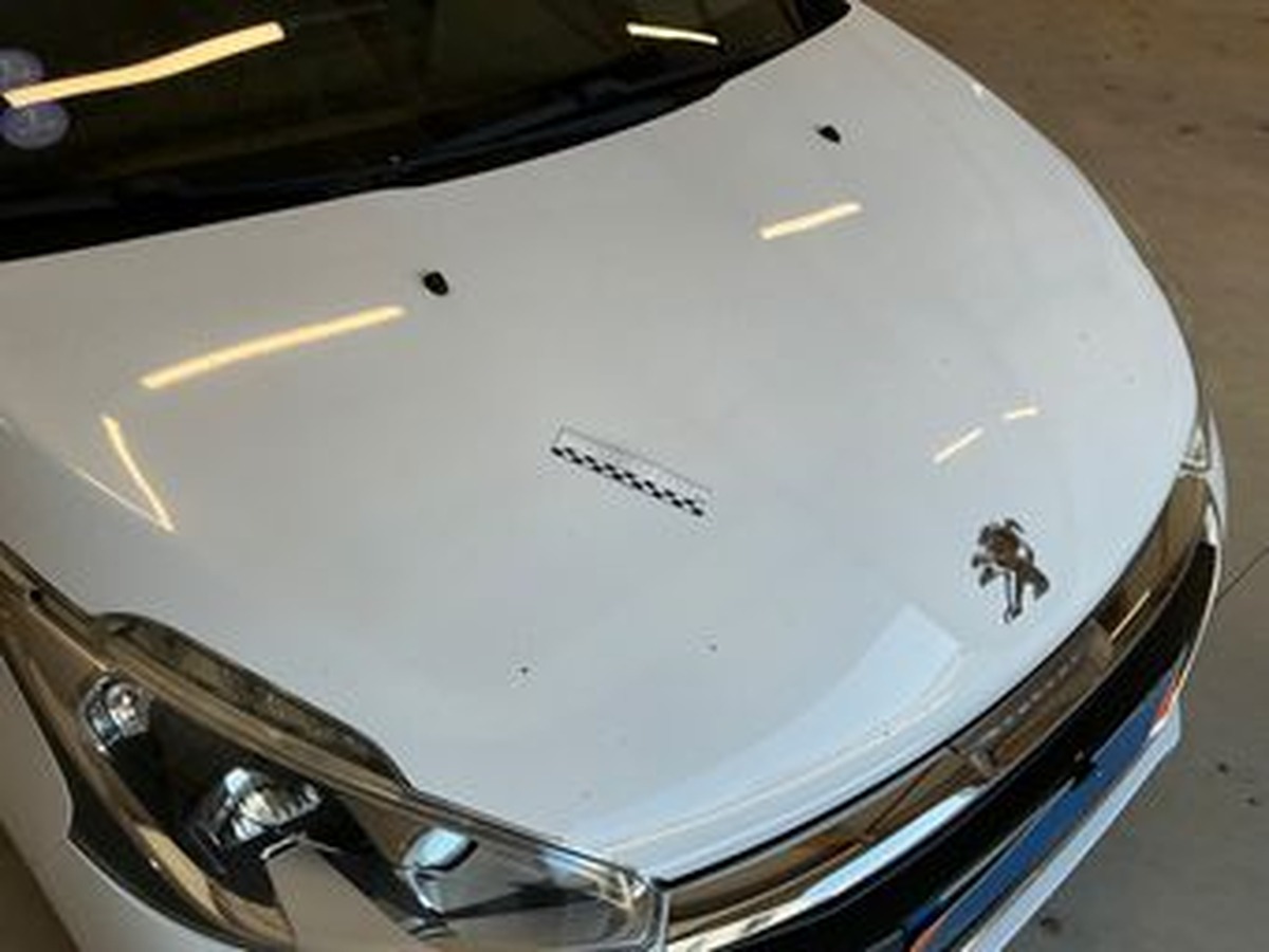 Peugeot 208 1.2 puretech disibution neuve garantie 6 mois