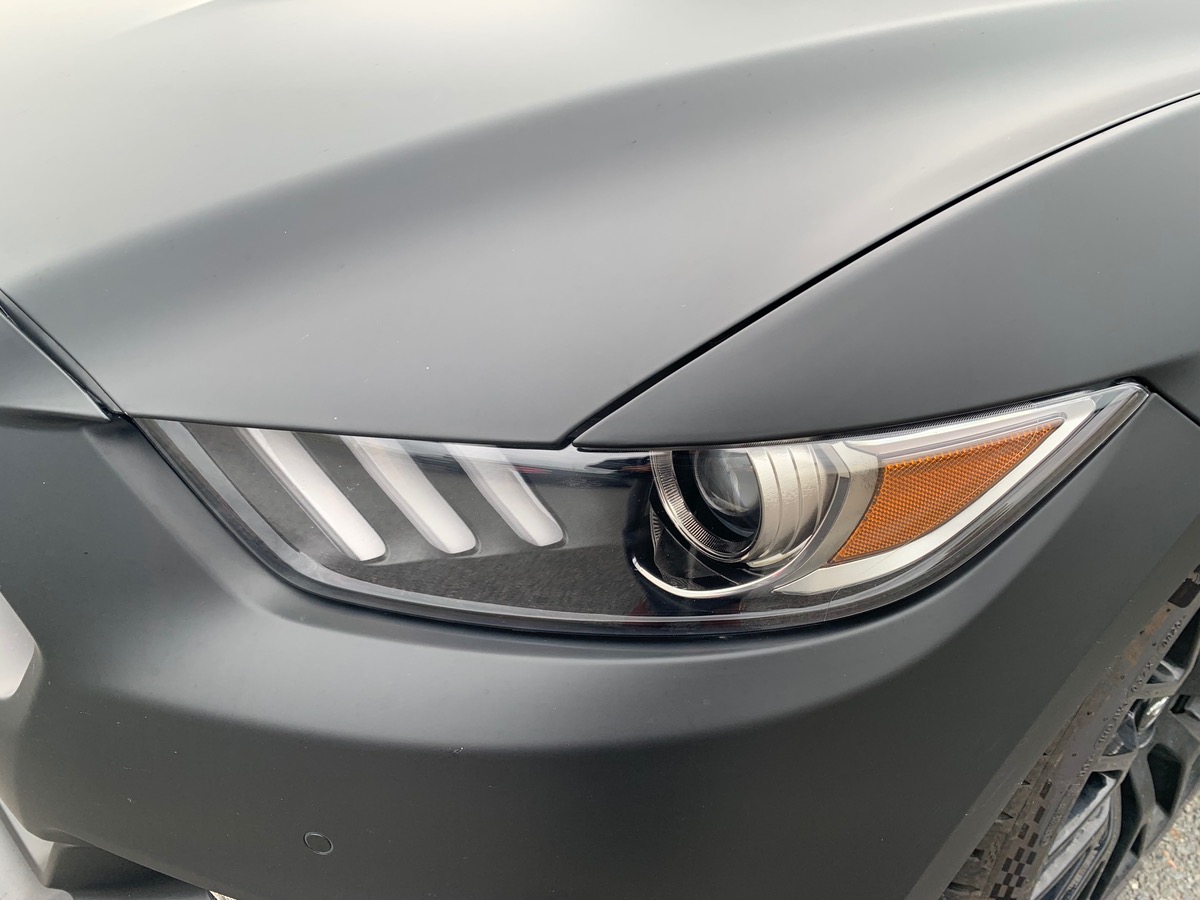 Ford Mustang FASTBACK V8 GT | Sellerie cuir | Sièges chauffants et climatisés | Housse de Protection