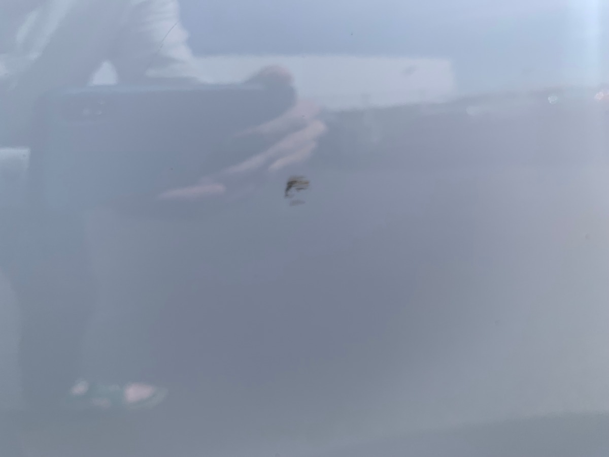 MG MG4 245 | 77 Kwh | Luxury | Apple car Play | Caméra | Siéges chauffants | Régulateur adaptatif