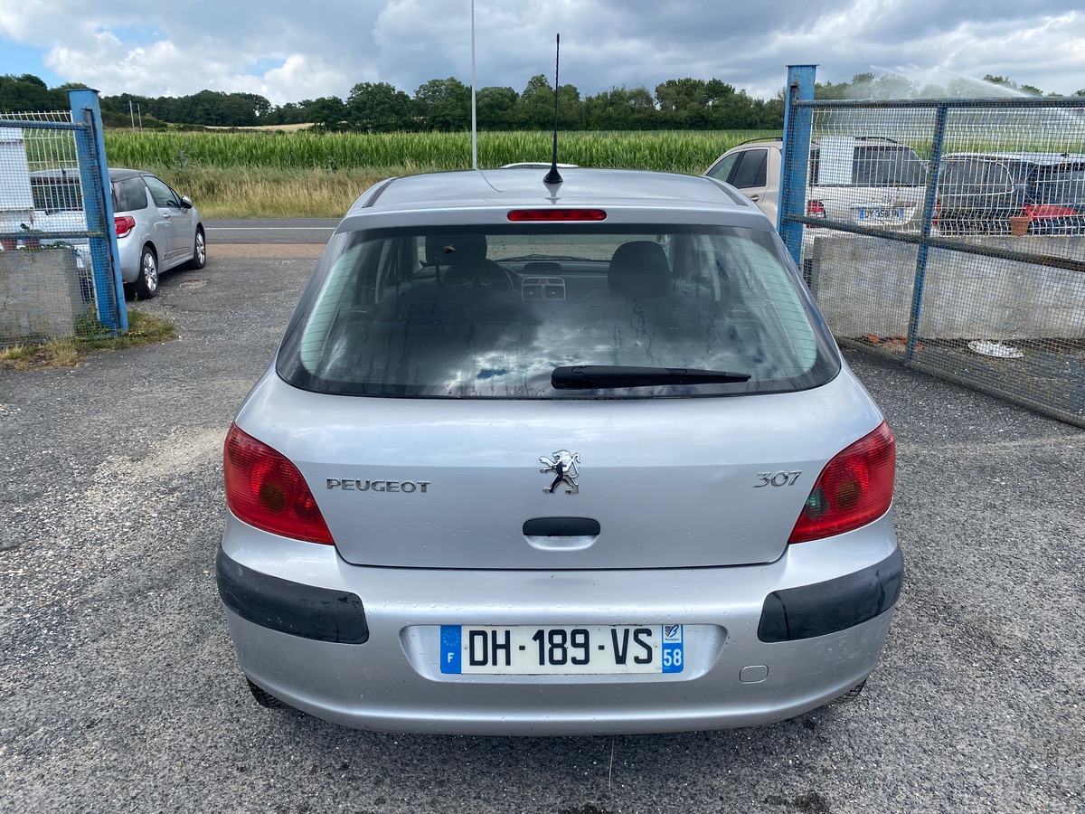 Peugeot 307 xr/xs