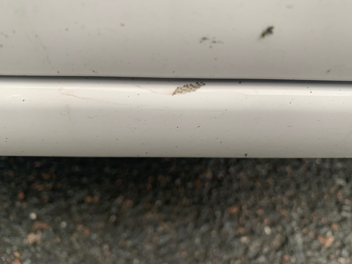 Peugeot Partner 102 ch | TVA Récupérable | GPS | Caméra de recul | Régulateur de vitesse