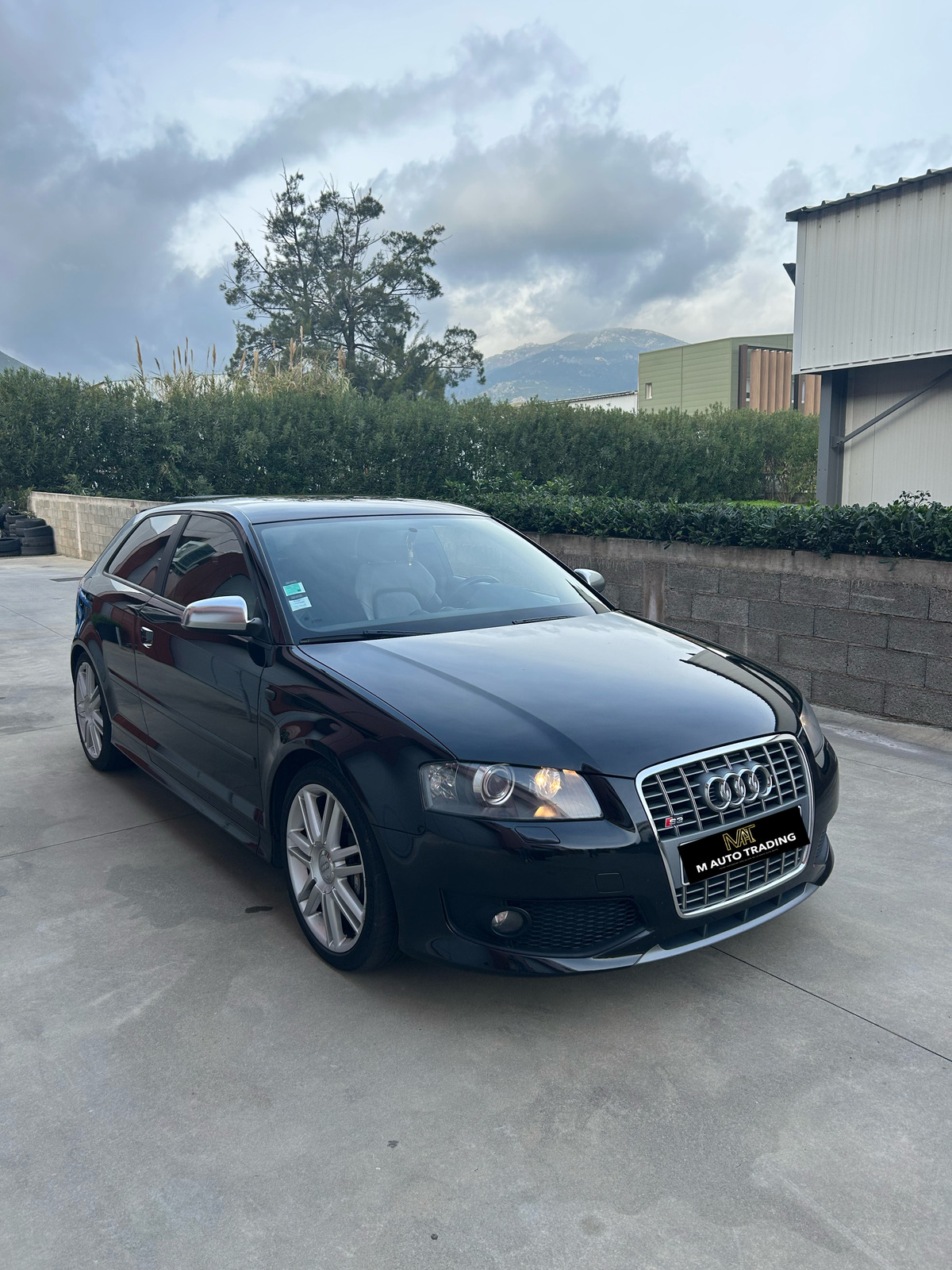 Audi S3 2.0 tfsi