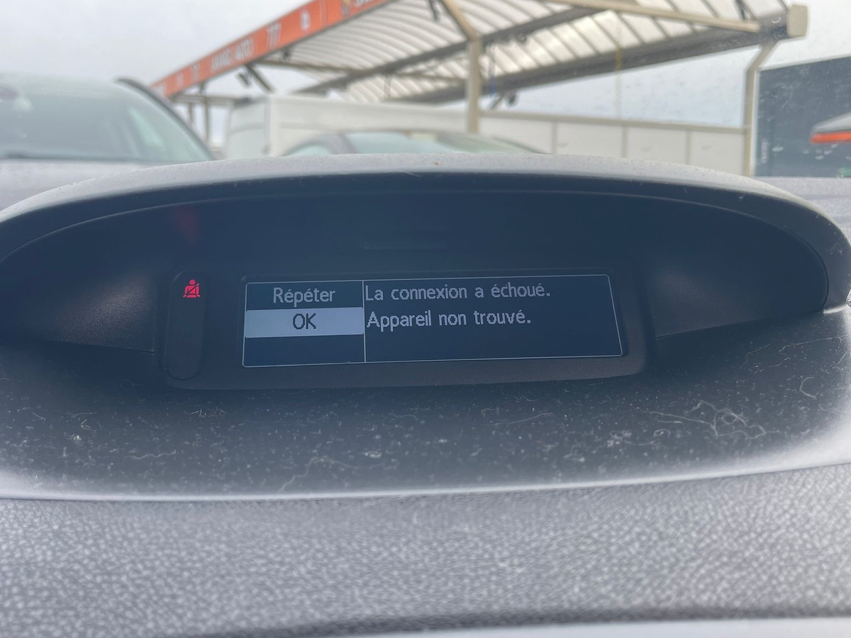 RENAULT Megane RS 2.0T 250