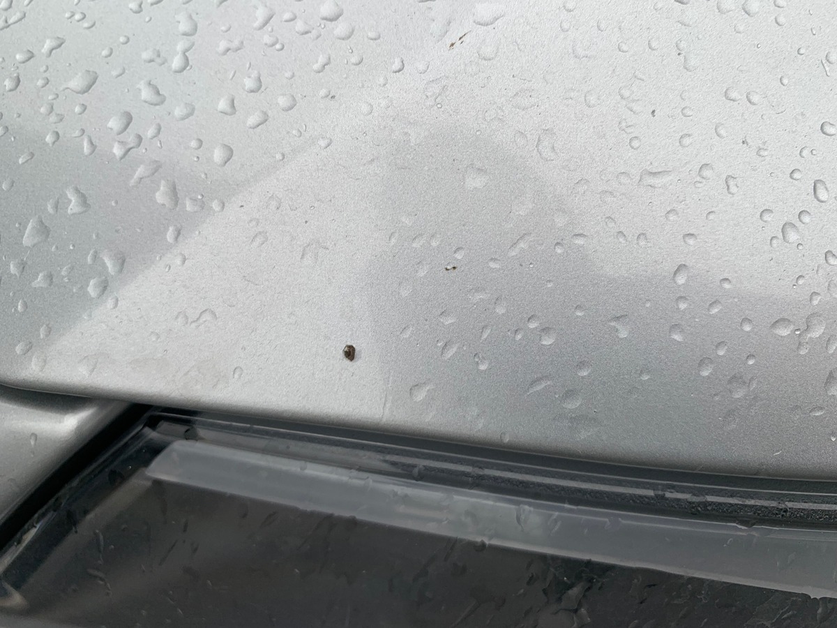 Bmw Série 3 Touring 184 ch | GPS | Radar de recul | Climatisation Auto | Jantes Alu 17"| Attelage