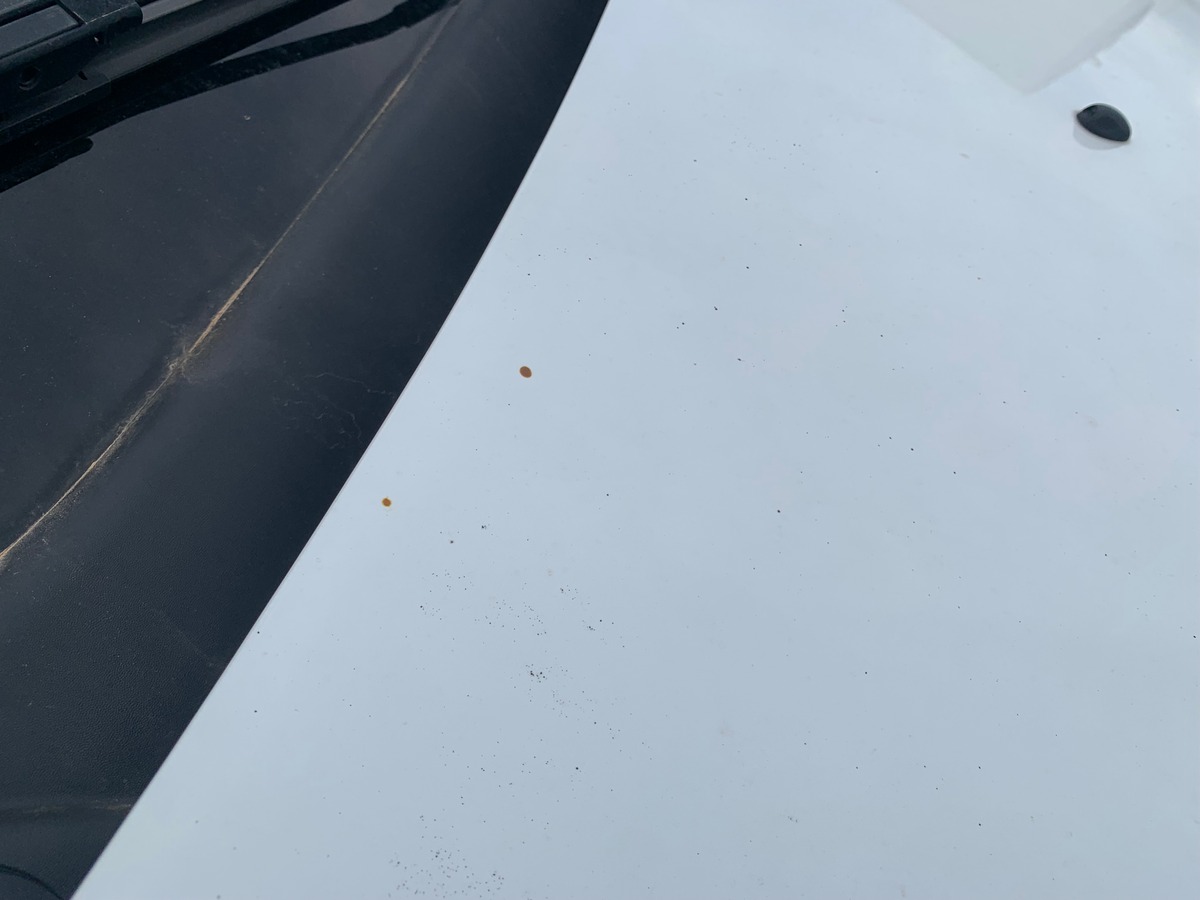 Dacia Sandero Stepway 90 ch | Roue de secours + cric | Aide stationnement Arrière | GPS | Bluetooth