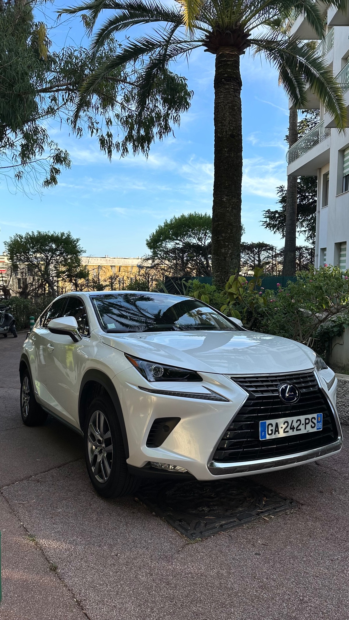 Lexus NX300H 300h 4wd
