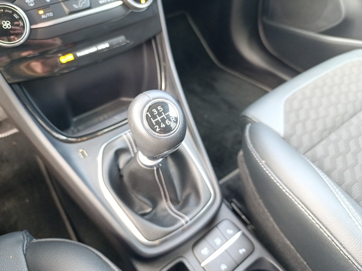 Ford Puma 1.0 FLEXIFUEL 125 CV MHEV TITANIUM BUSINESS