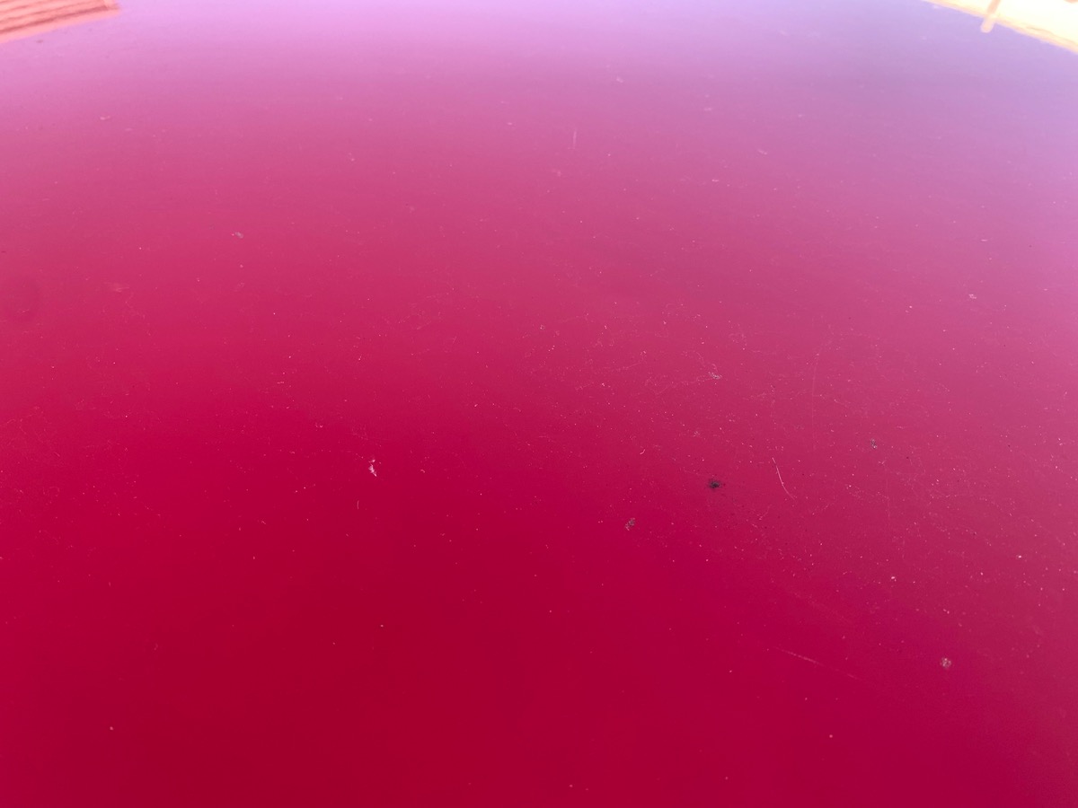 Skoda Citigo 60 ch | Rouge Tornado | ABS | Airbags | Dernier entretien à 50661 kms en 07/2025