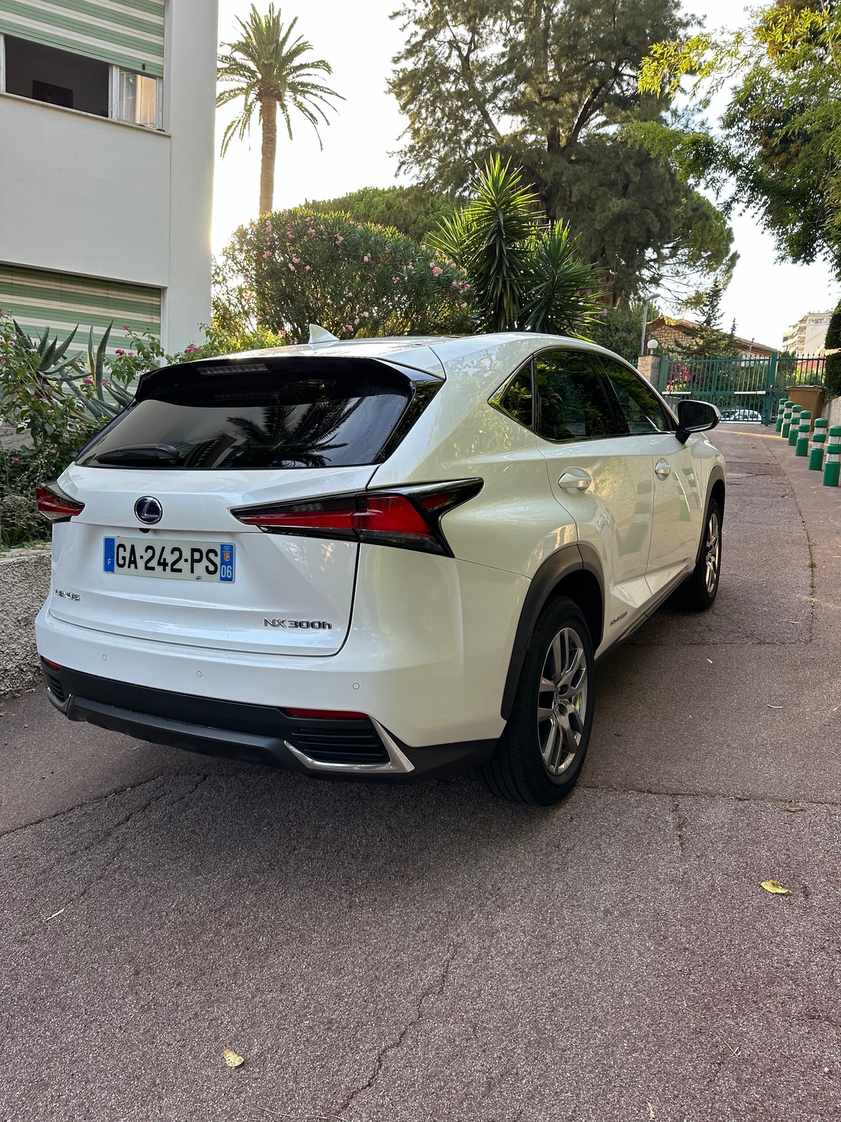 Lexus NX300H 300h 4wd