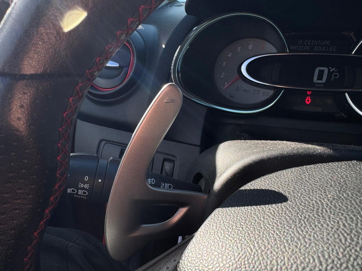 RENAULT Clio RS TROPHY