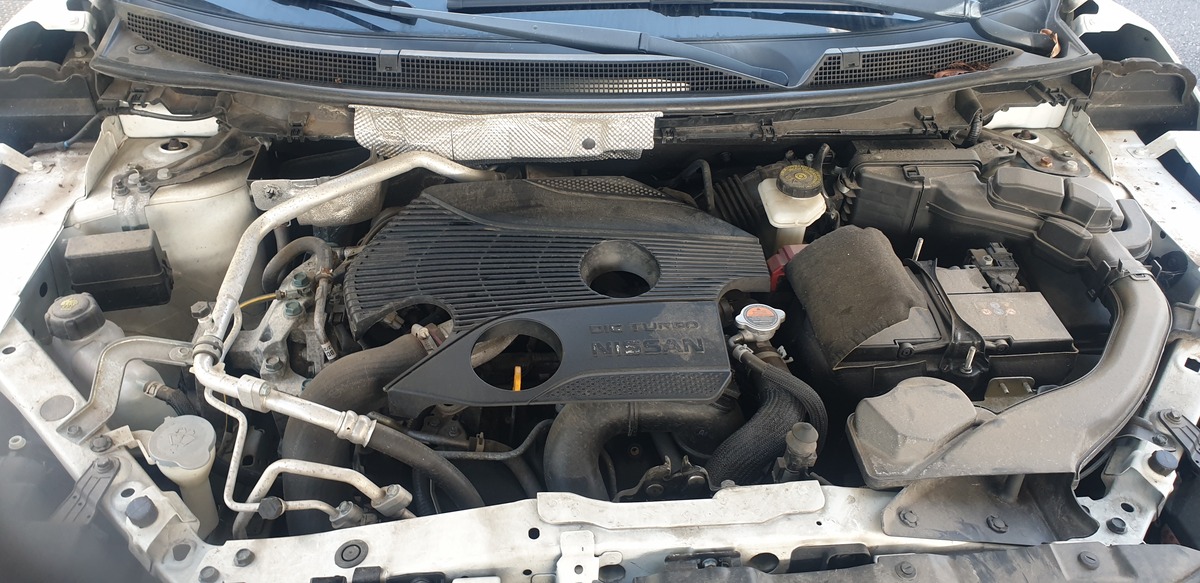 Nissan Qashqai 1.6 dig N-Connecta 163 CV