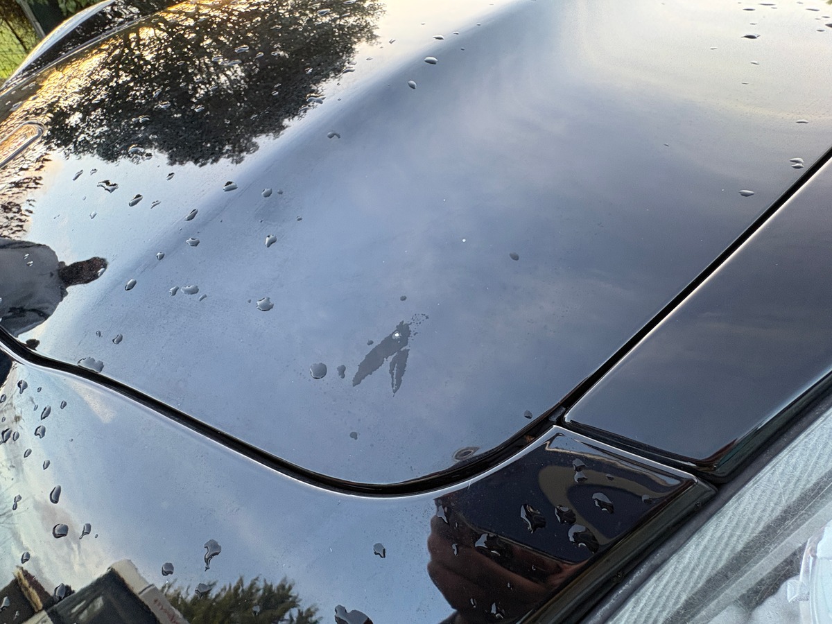 Porsche Panamera 4s - V8 4.8 400ch PDK