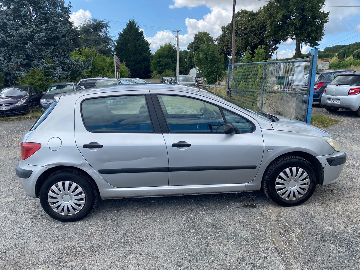 Peugeot 307 xr/xs