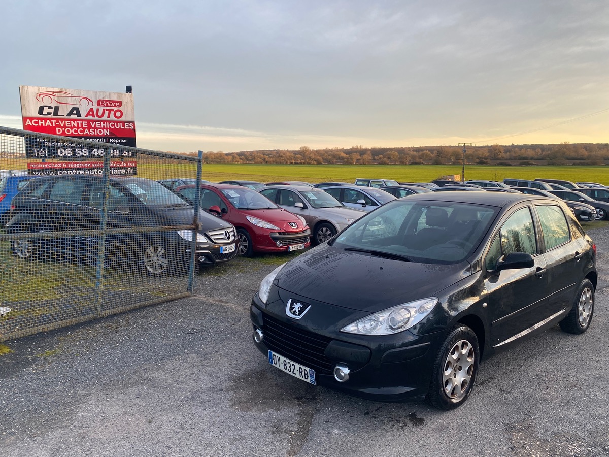 Peugeot 307 1.6 hdi 90cv 234000km
