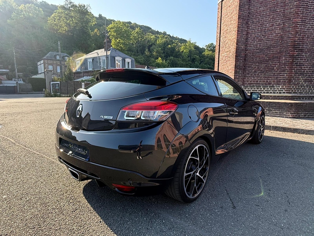RENAULT Megane III RS CUP 250 / STEEVE, XENON, RS.MONITOR