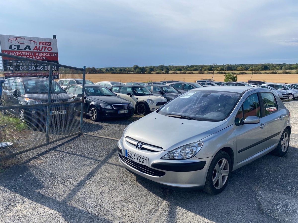 Peugeot 307 1.6i 110cv XT PREMIUM BVA 1ère main 176010km