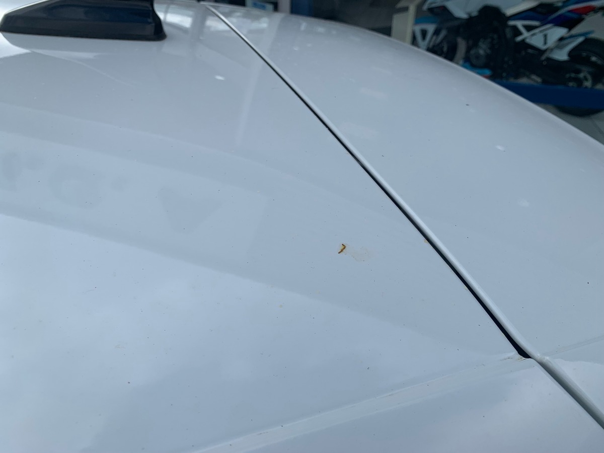 Volkswagen GOLF 8 130 ch | Stage 1 Ethanol | Apple car Play | Radar avant arriére | Siéges chauffant