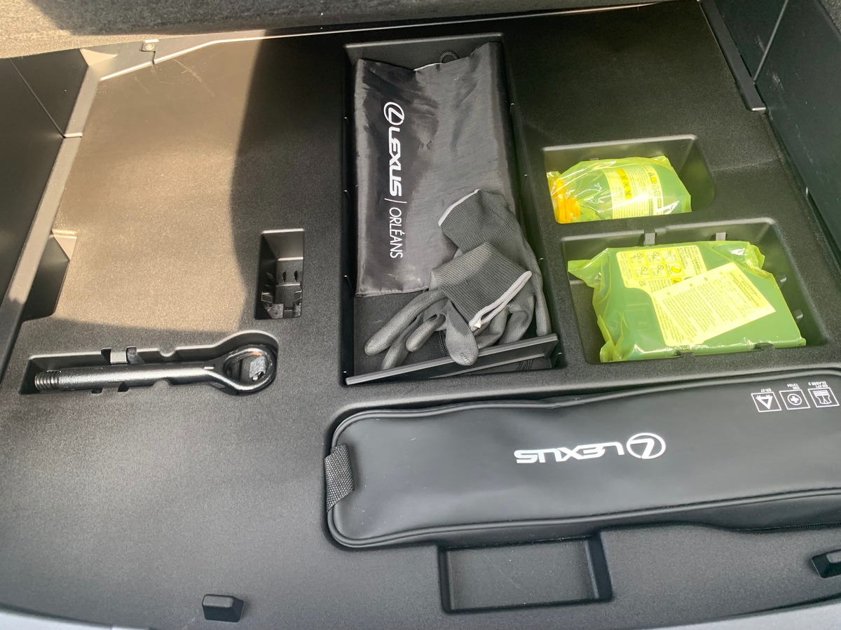 Lexus UX 250 | 185 ch | Luxe Techno | Contrôle angles morts | Caméra recul | Hayon électrique