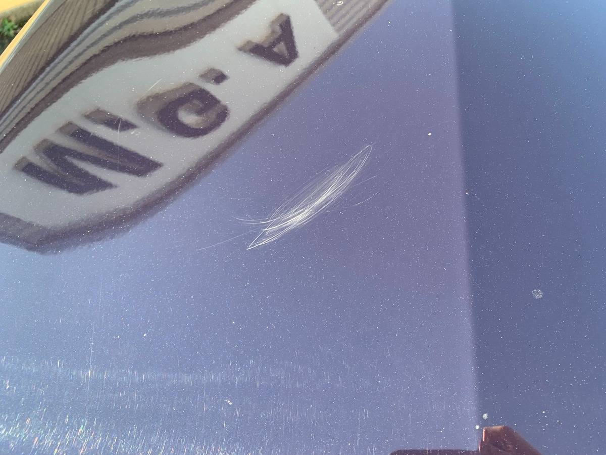 Peugeot 308 130 ch | Allure | Caméra de recul | Apple car play | Régulateur vitesse | Barres de toit