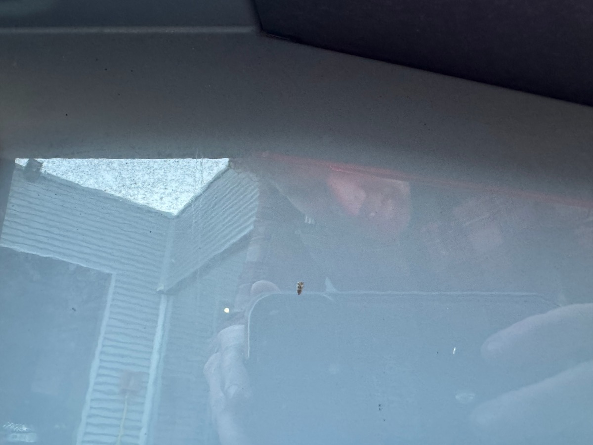 Audi RS3 400 | Quattro | Toit ouvrant | Magnetic Ride | Échappement RS | Bang & Olufsen sound system