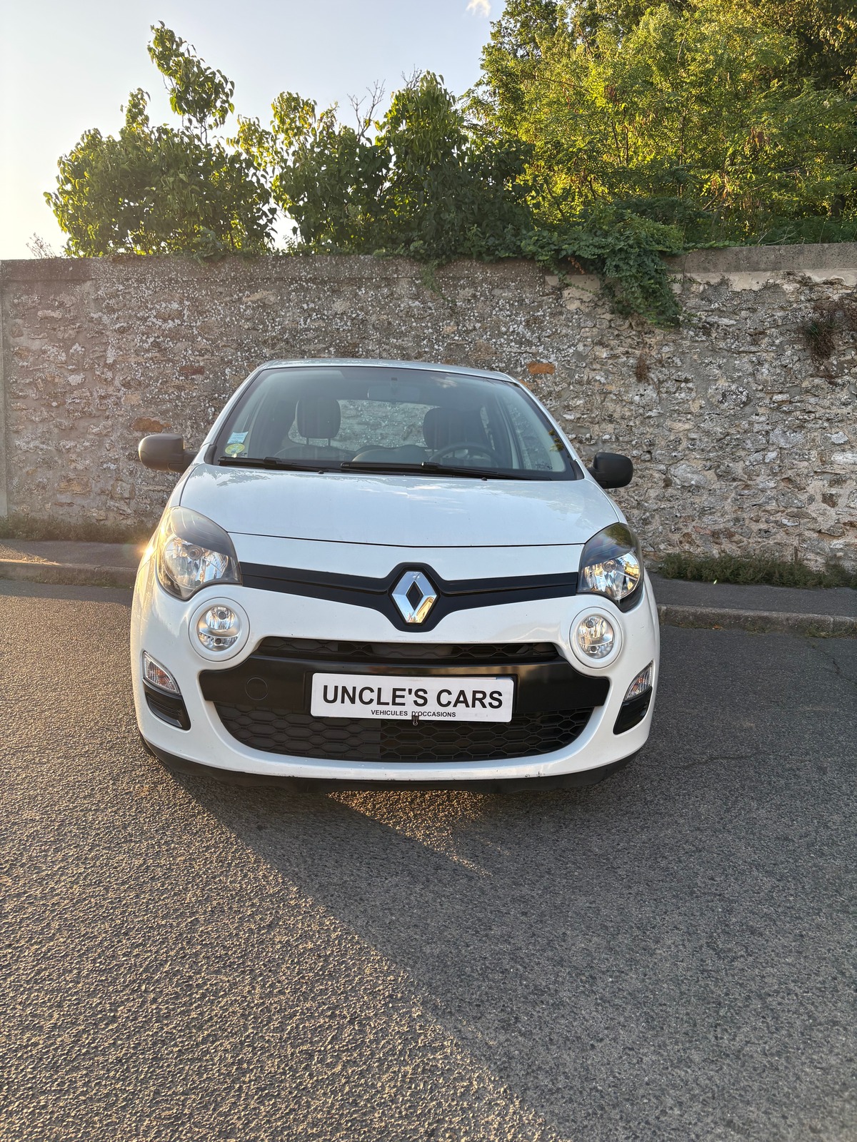 RENAULT Twingo SOCIETE AIR EURO 5 1.5 DCi 75