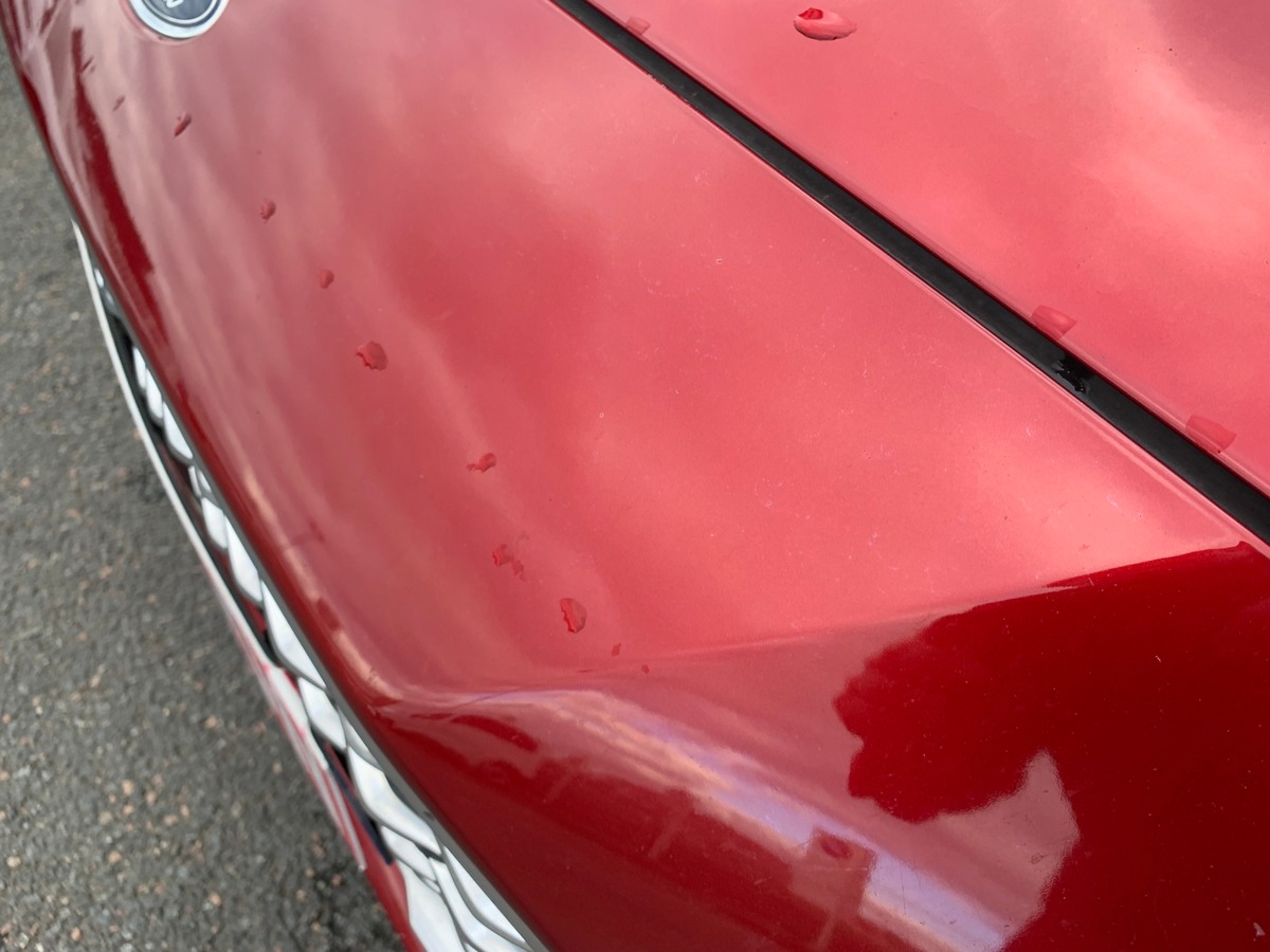 Ford FOCUS SW 120 ch | Vignale | Toit ouvrant panoramique | Apple car play Android auto | Attelage