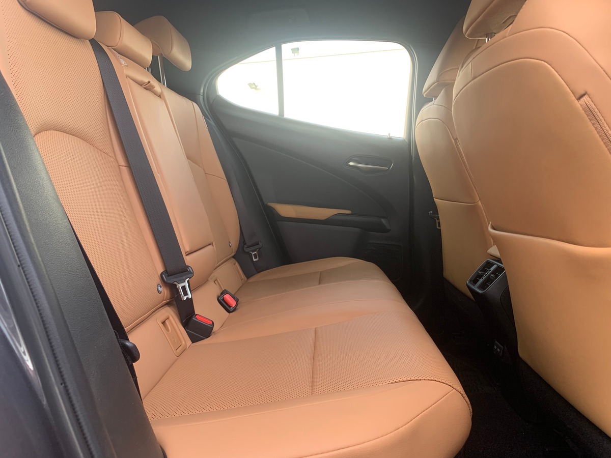 Lexus UX 250 | 185 ch | Luxe Techno | Contrôle angles morts | Caméra recul | Hayon électrique