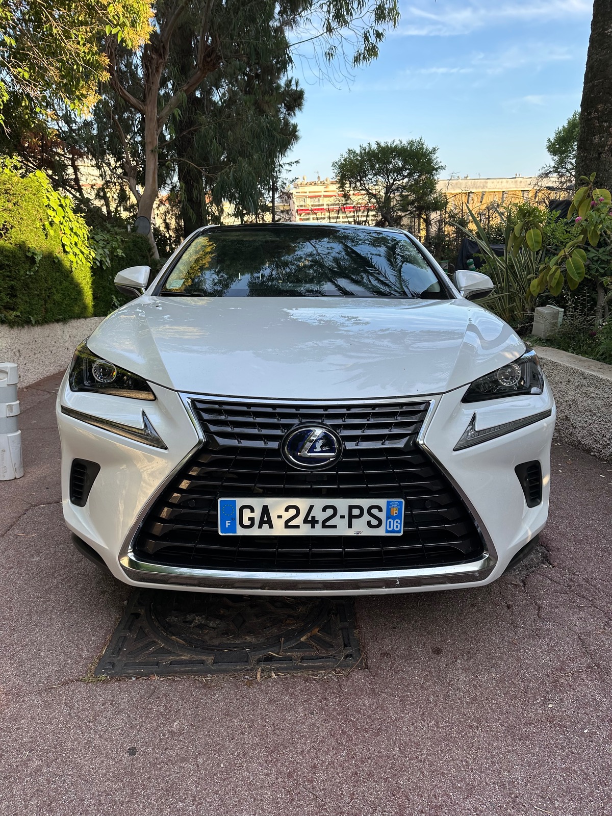 Lexus NX300H 300h 4wd