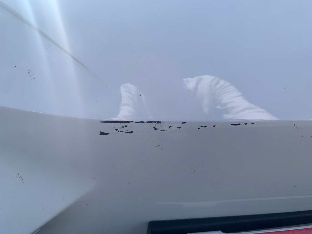 MG MG4 245 | 77 Kwh | Luxury | Apple car Play | Caméra | Siéges chauffants | Régulateur adaptatif