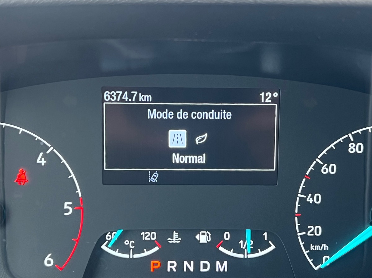 Ford Custom 6 places L1H1 Fourgon 2.0 EcoBlue 170 BVA6 + benne bois AR