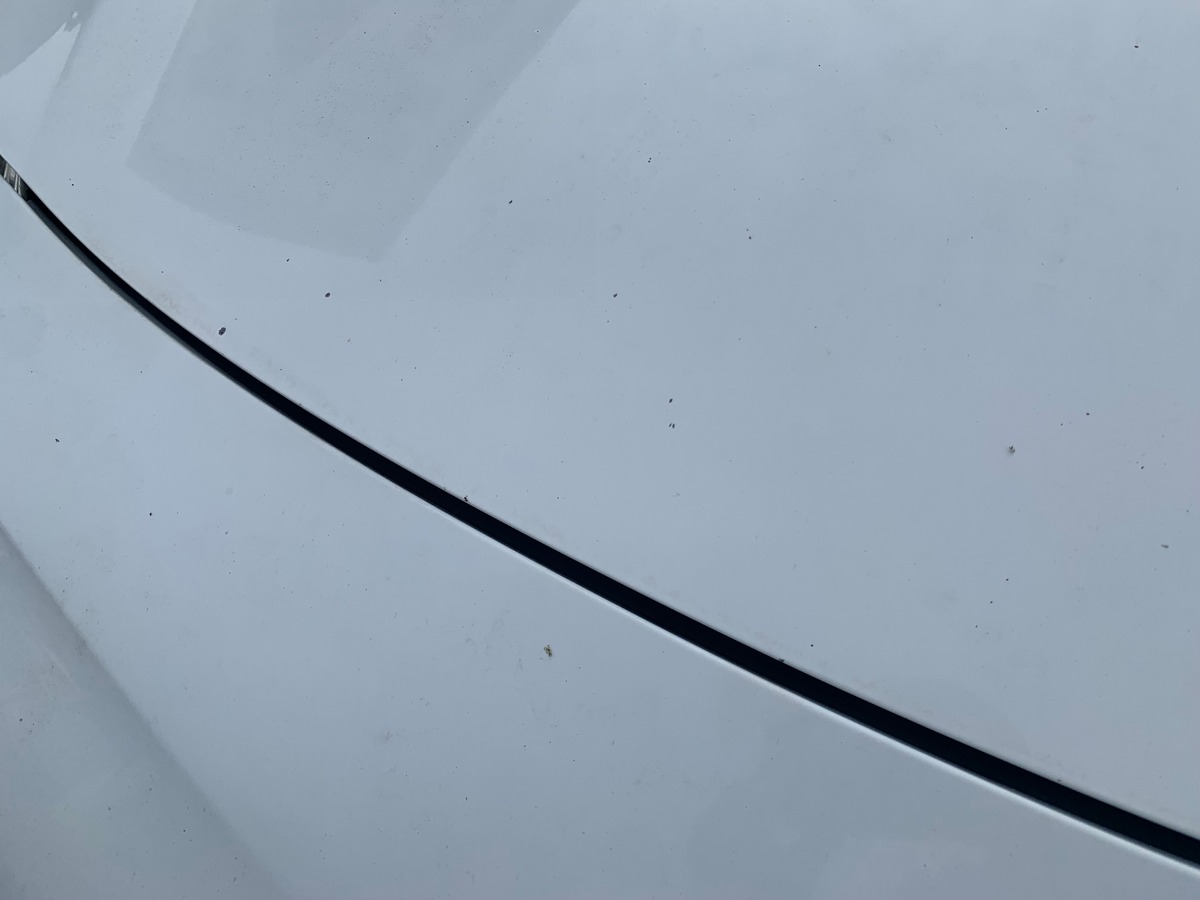 Citroën C3 68 ch | 2 Places | Régulateur de vitesse | Climatisation | Roue de secours homogène 15"