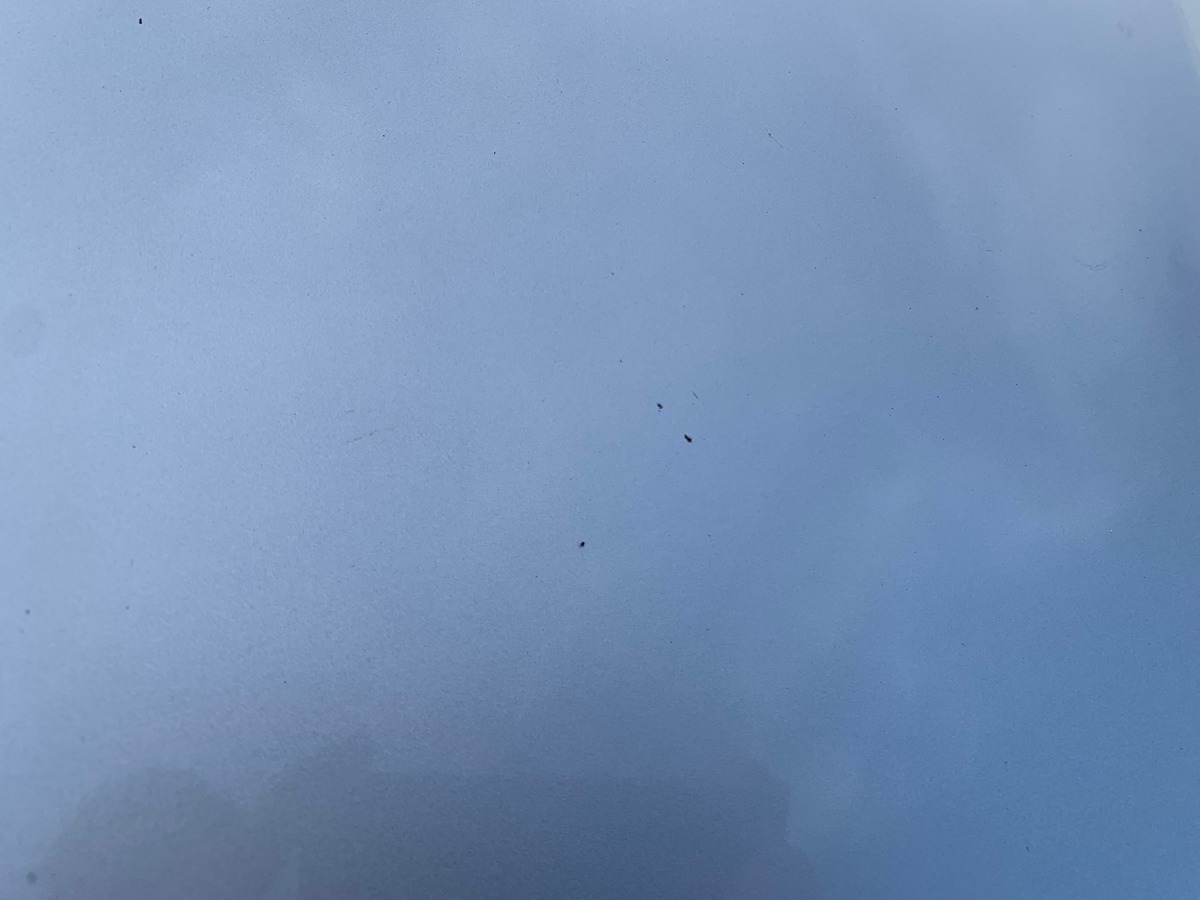 Citroën C3 100 ch | Régulateur de vitesse | Climatisation | Confort | Pack Urbain