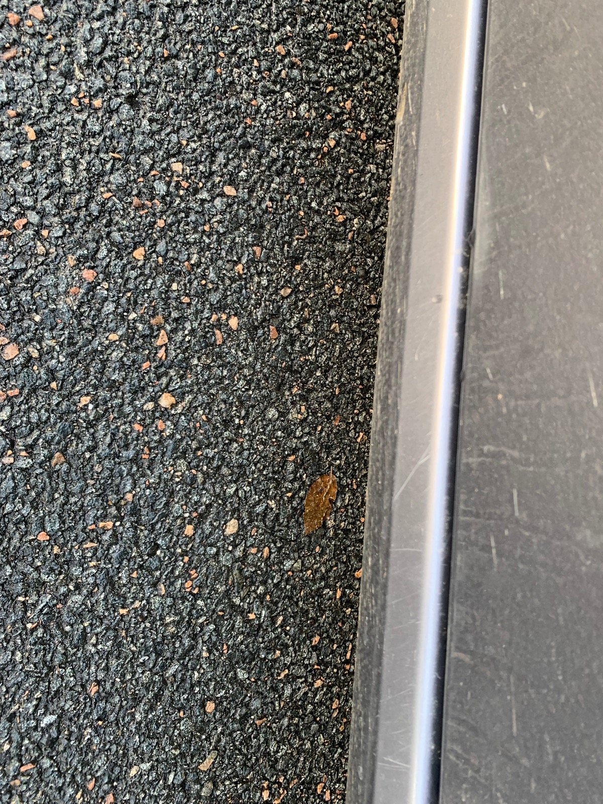 RENAULT Modus 75 ch | Dynamic | Climatisation | Roue de secours | Radio cd | Distribution  faite