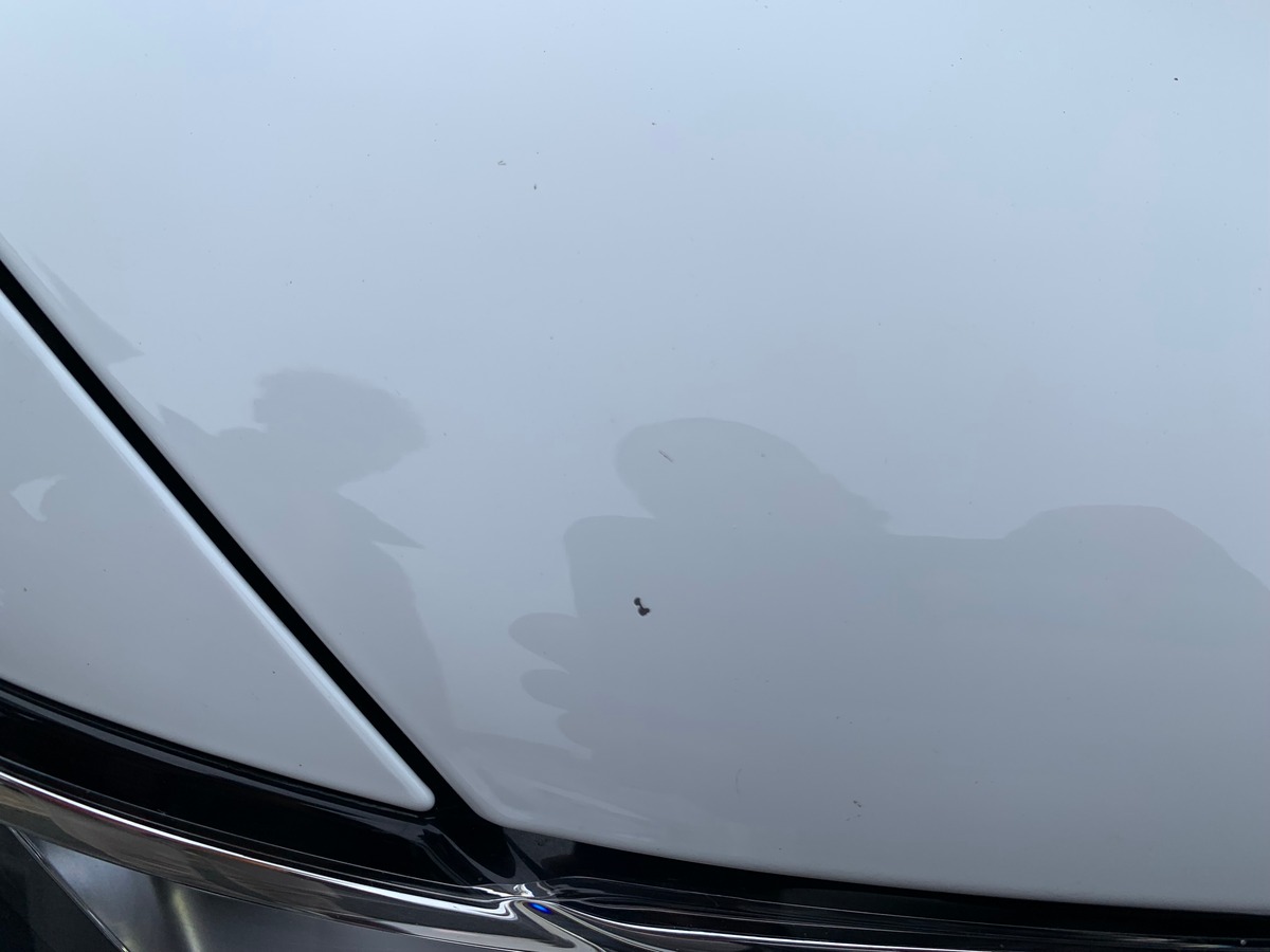 Volkswagen Tiguan 150 | Confortline | Apple car play et Android | Régulateur vitesse | Caméra recul