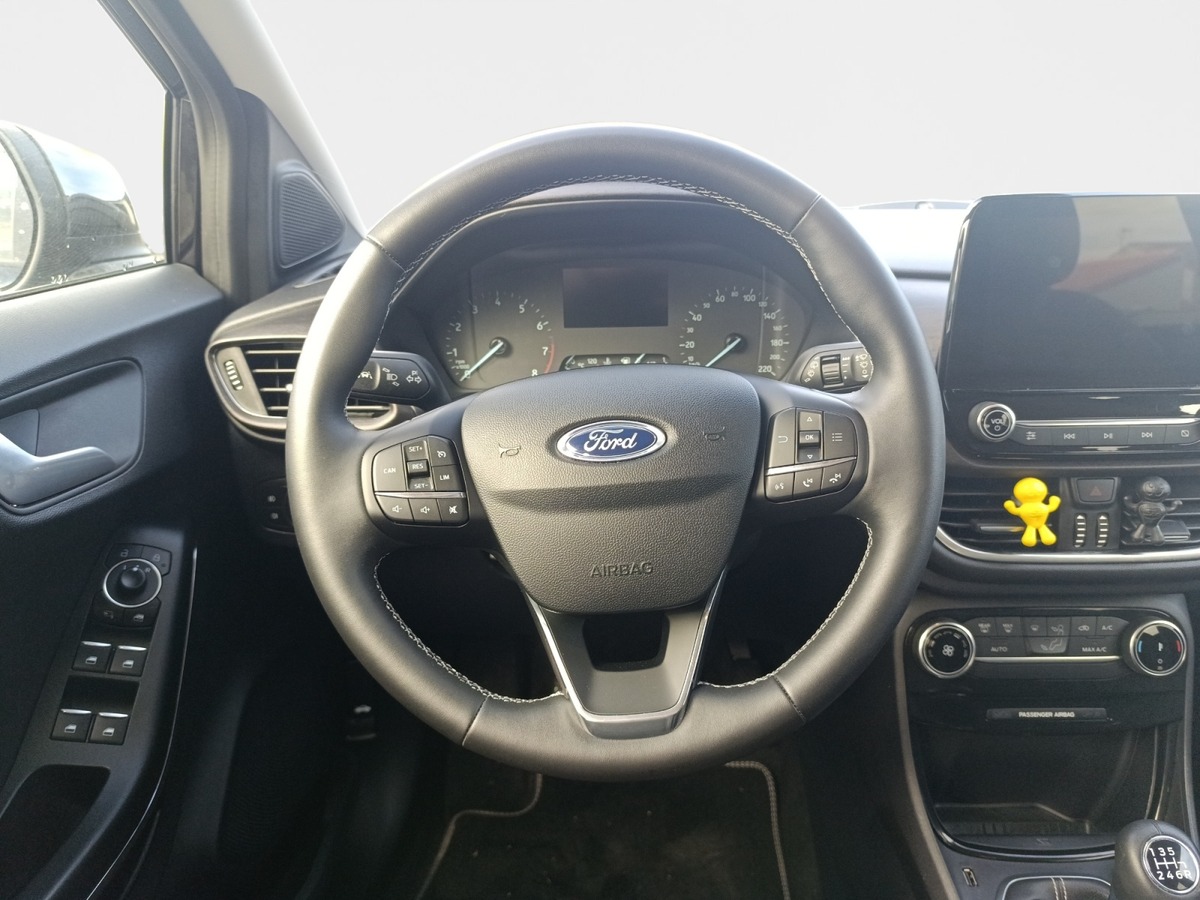 Ford Puma 1.0 FLEXIFUEL 125 CV MHEV TITANIUM BUSINESS