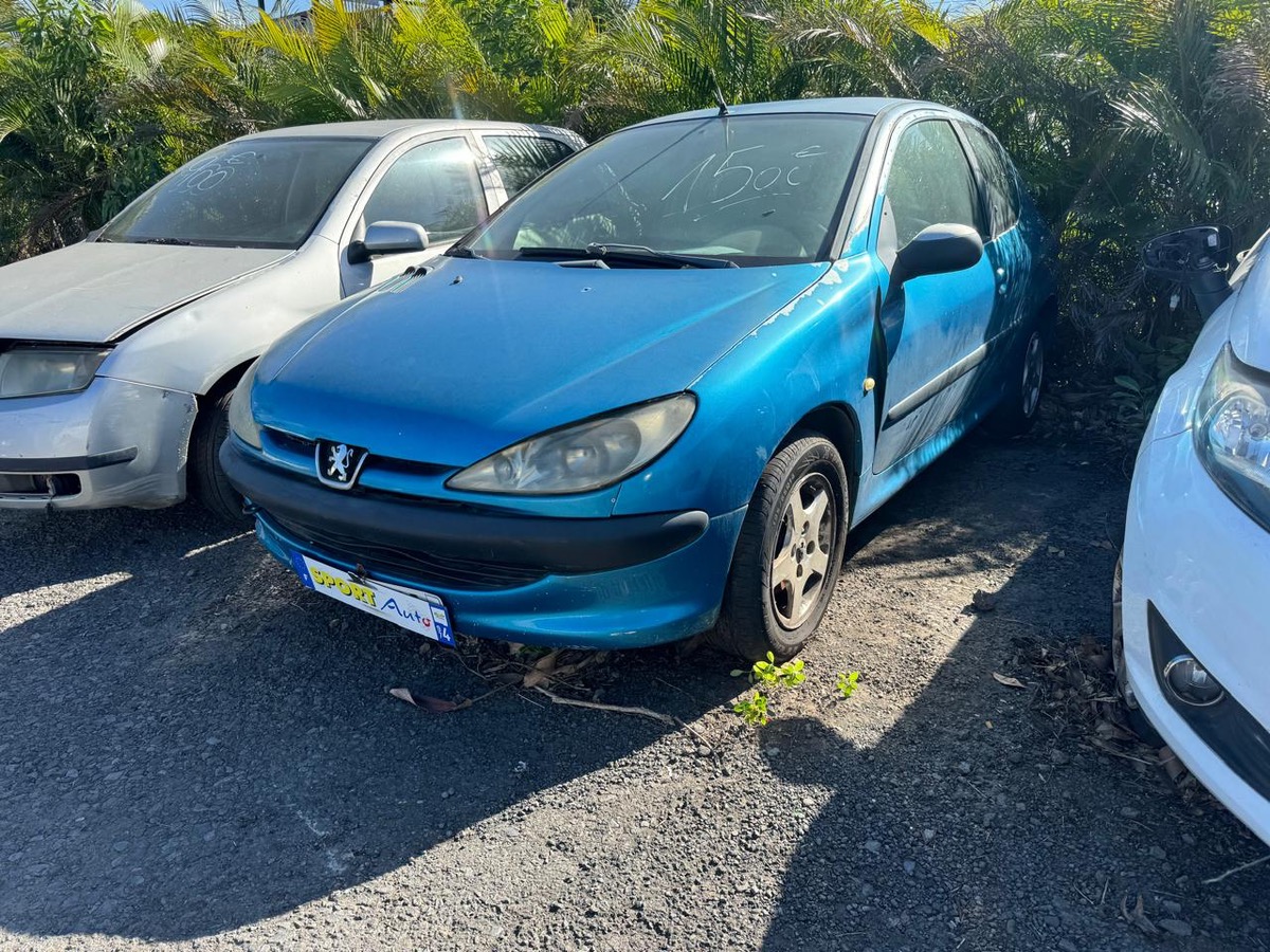 Peugeot 206 1.9 d