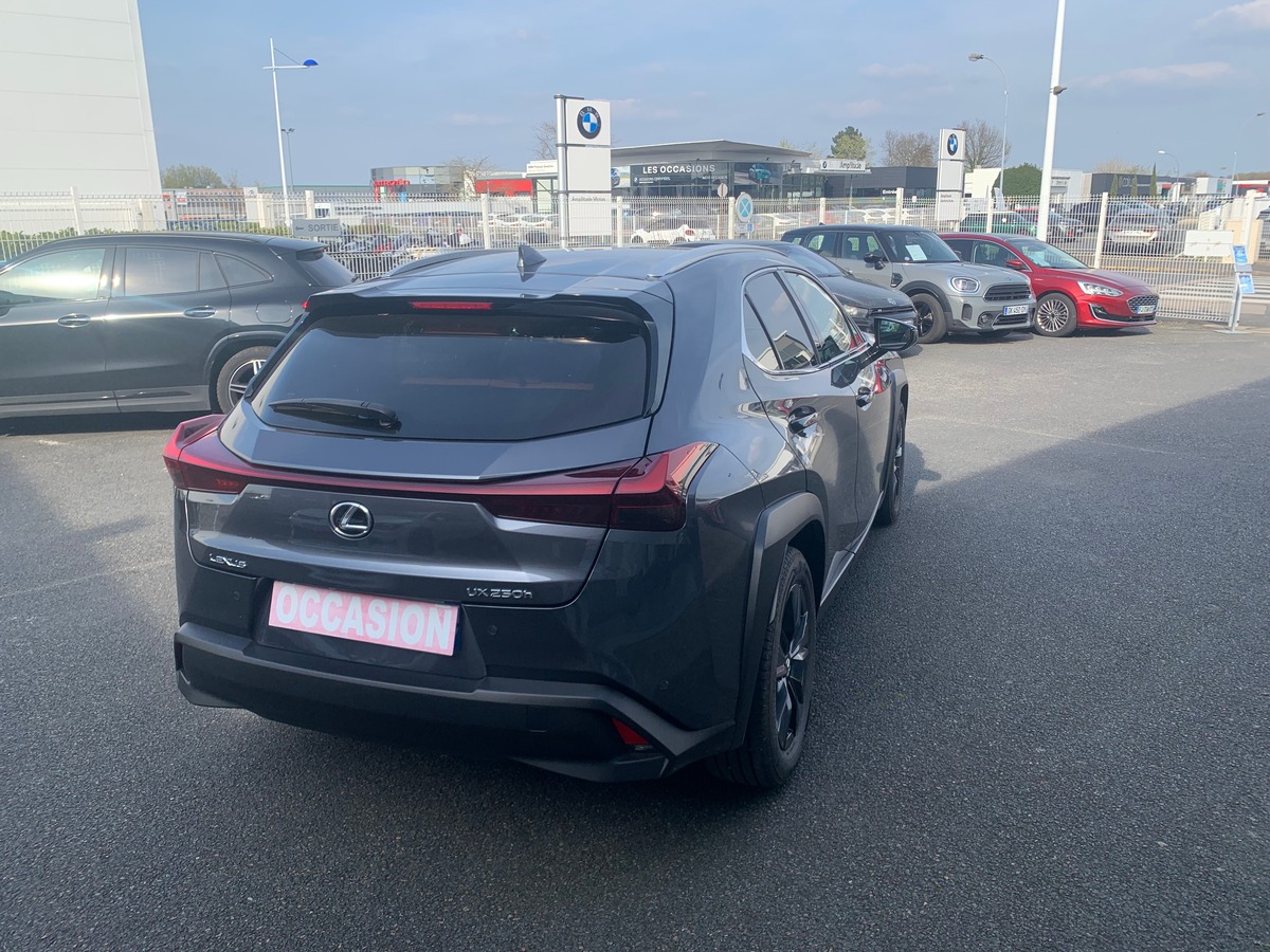 Lexus UX 250 | 185 ch | Luxe Techno | Contrôle angles morts | Caméra recul | Hayon électrique