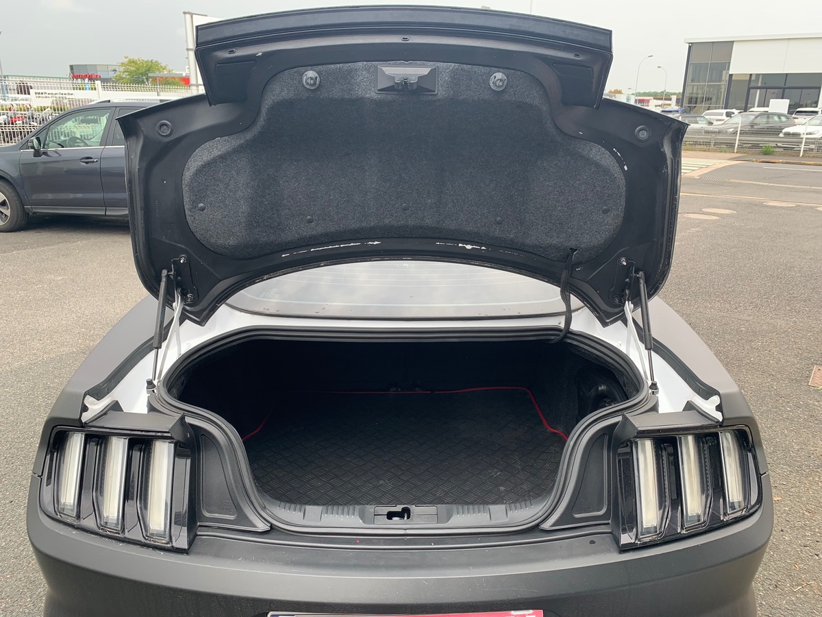 Ford Mustang FASTBACK V8 GT | Sellerie cuir | Sièges chauffants et climatisés | Housse de Protection