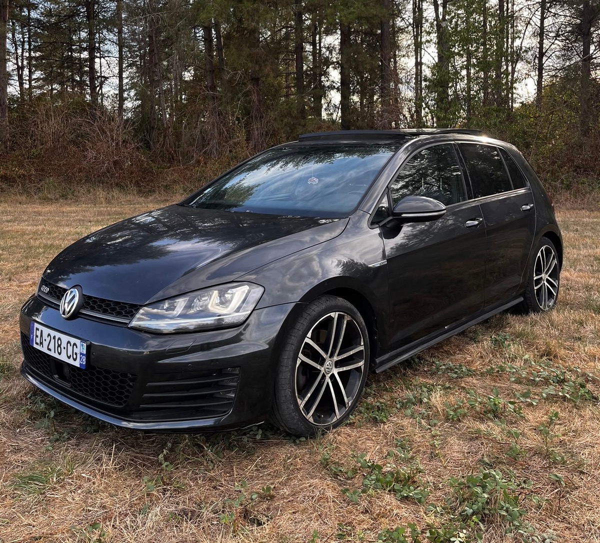 Volkswagen Golf VII GTD 2.0 TDI 16V Blue Motion 184 cv Boîte auto