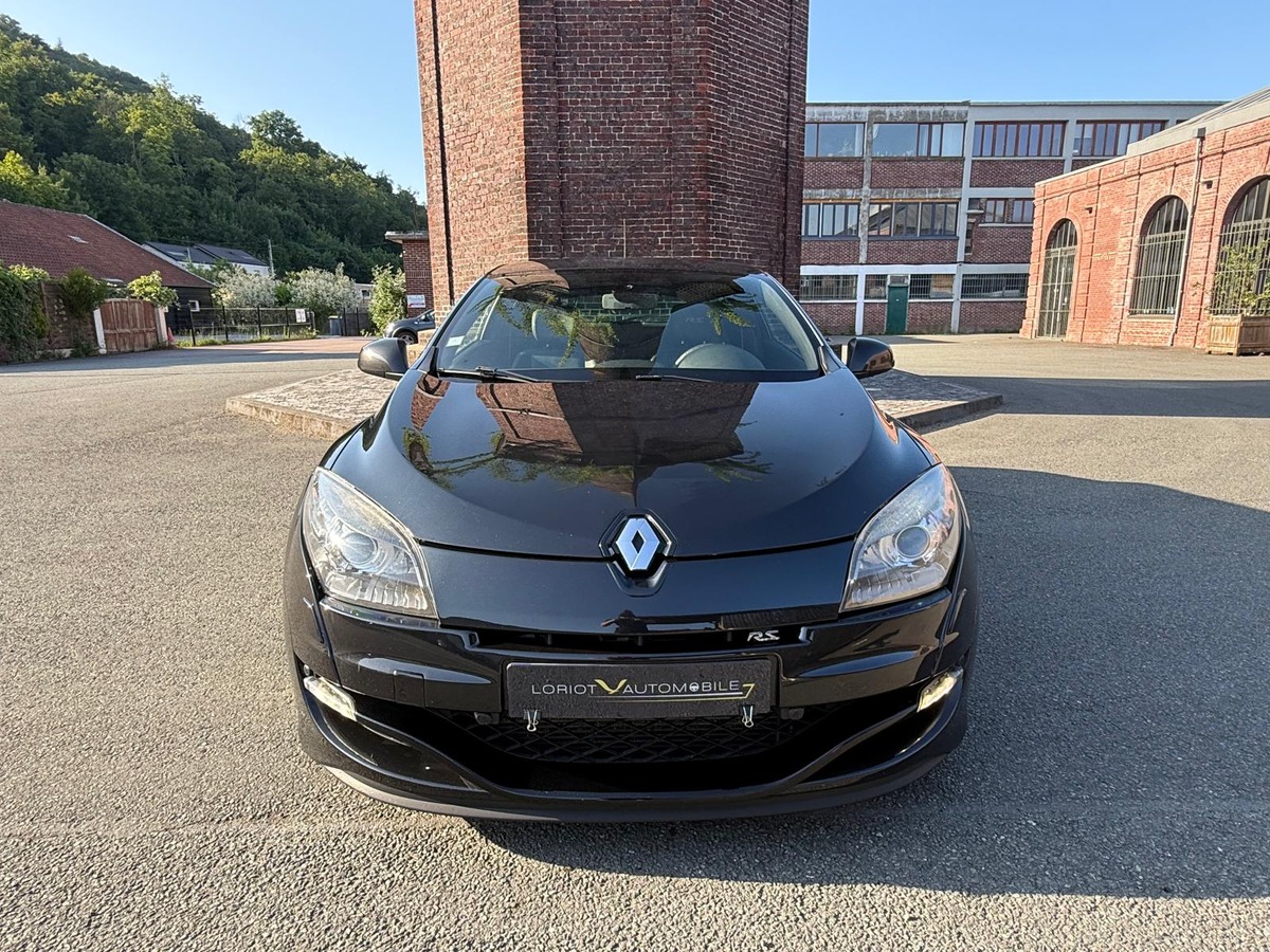 RENAULT Megane III RS CUP 250 / STEEVE, XENON, RS.MONITOR