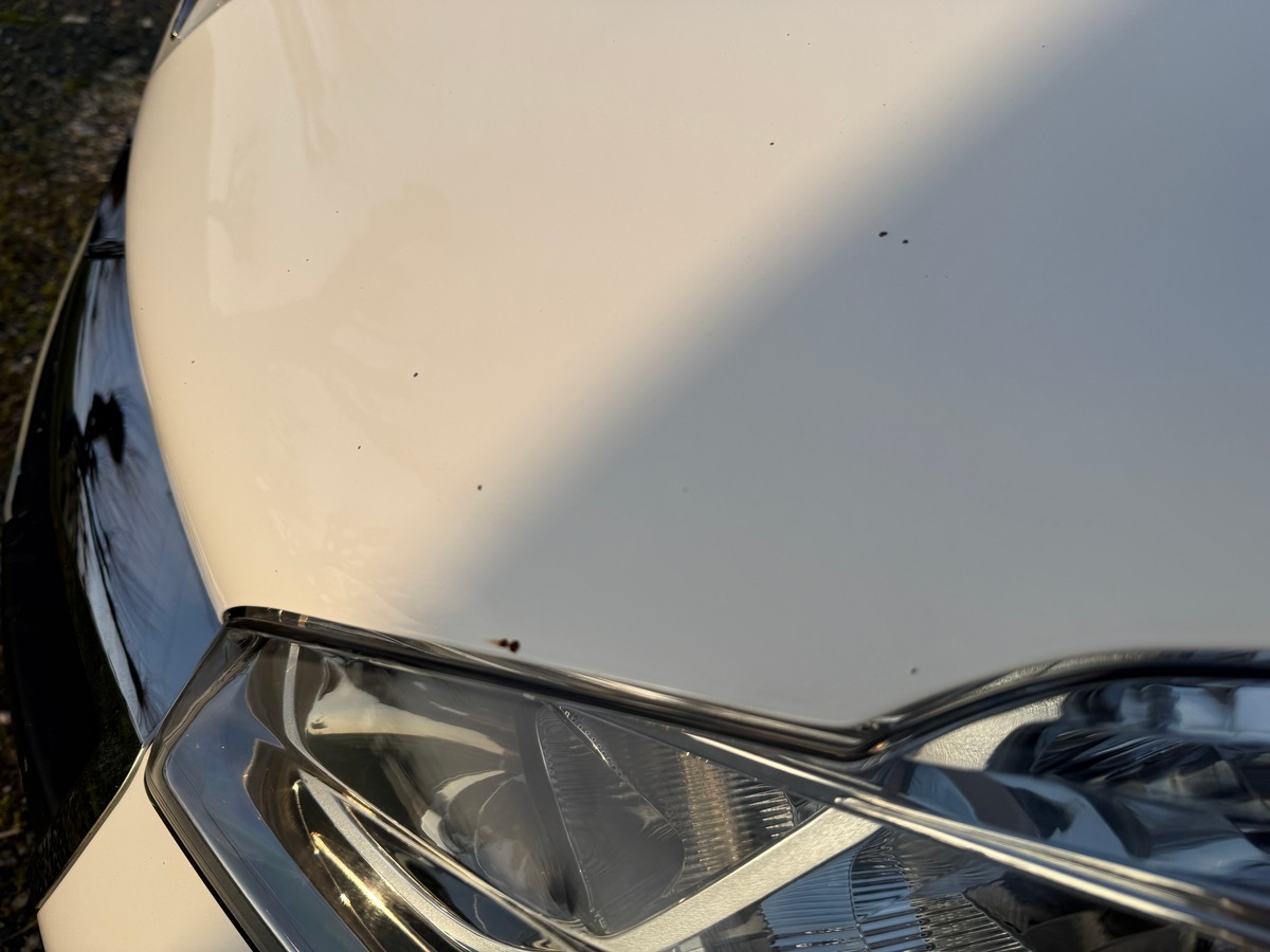 Peugeot 208 AFFAIRE 1.6 BLUEHDI 100 PACK CLIM NAV - TVA RÉCUPÉRABLE