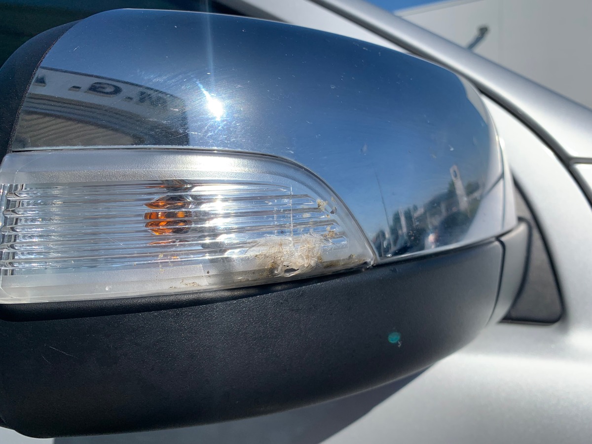 Ford Ranger 150 | Limited | Hard Top | Caméra recul | Régulateur vitesse | Attelage | Roue secours