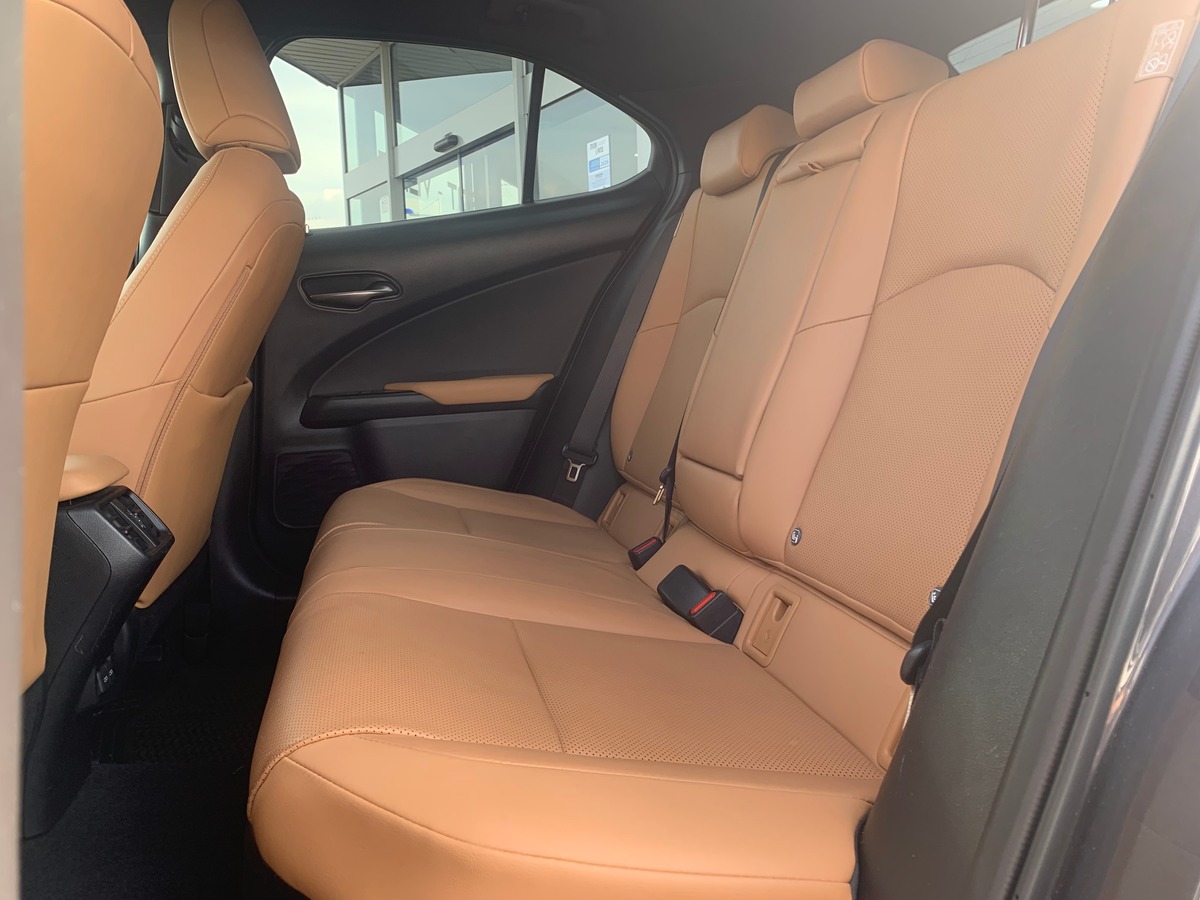 Lexus UX 250 | 185 ch | Luxe Techno | Contrôle angles morts | Caméra recul | Hayon électrique