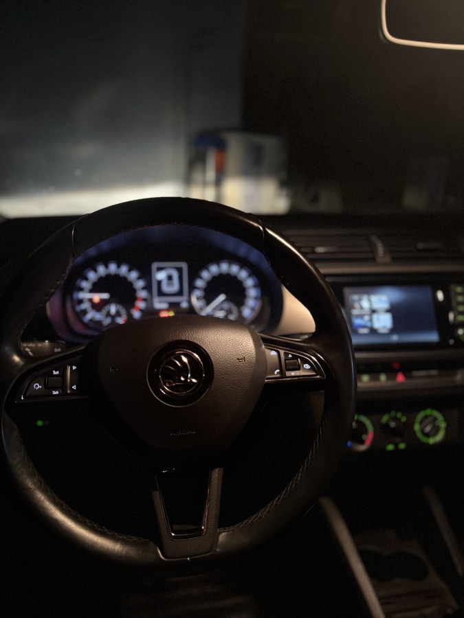 Skoda Fabia 90 ch | Clever